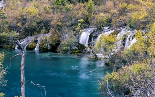 绿色高端